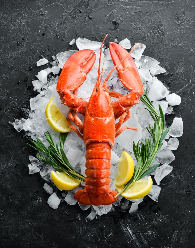 Sélection de plats du Festival du Baby-homard
